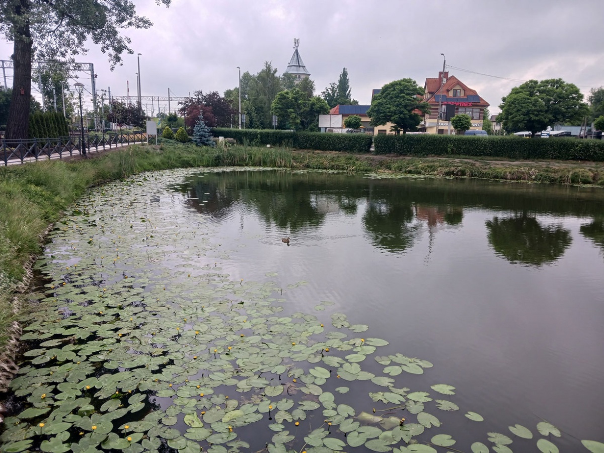 W Pilawie park już dostępny