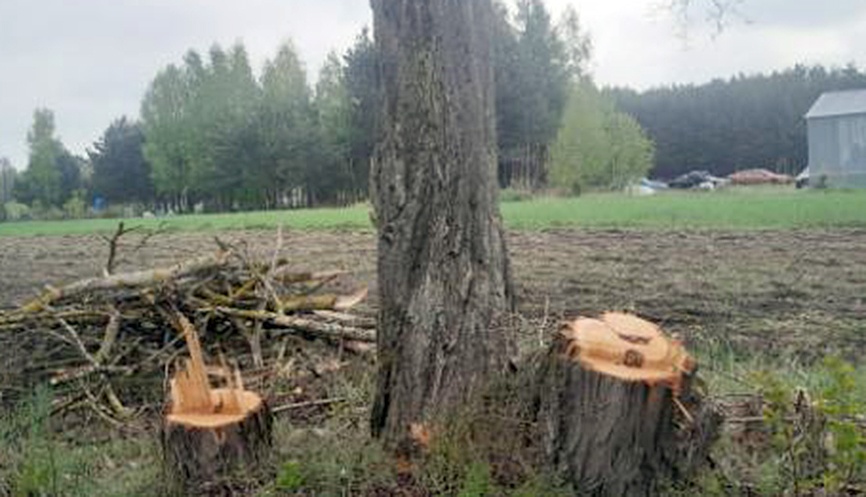 To nie pielęgnacja i odkrzaczanie poboczy, ale dewastacja przyrody i krajobrazu - mówią mieszkańcy