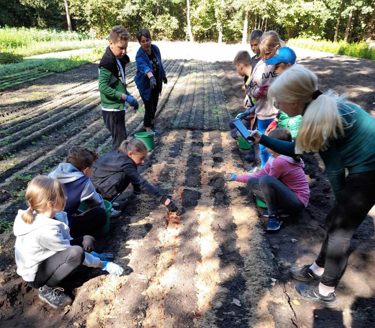 „Narodziny lasu”, czyli szkoła w Platerowie i Nadleśnictwo Sarnaki we wspólnym projekcie