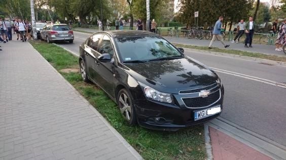Siedlce: Czy będą mandaty za parkowanie samochodów na trawnikach?