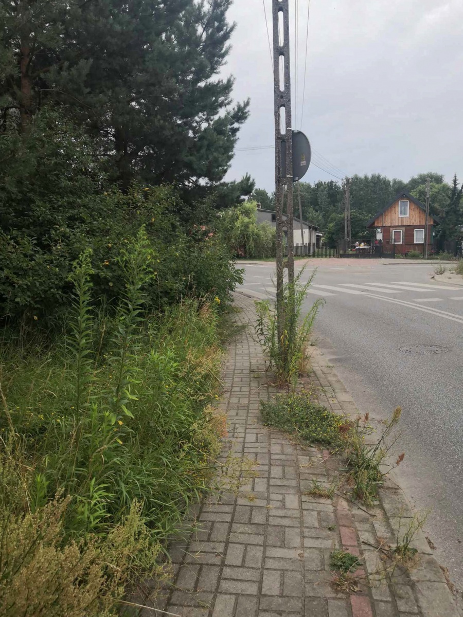 Trudności z poruszaniem się po chodnikach