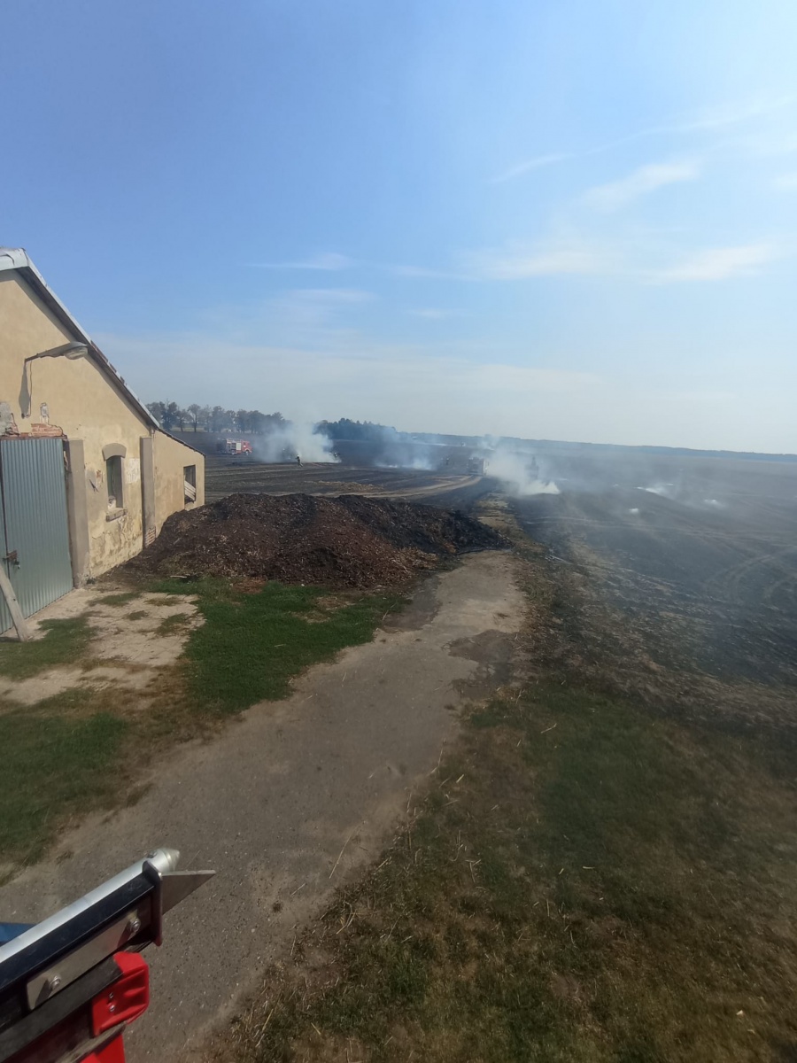 W gminie Ceranów paliło się ponad 30 hektarów pola