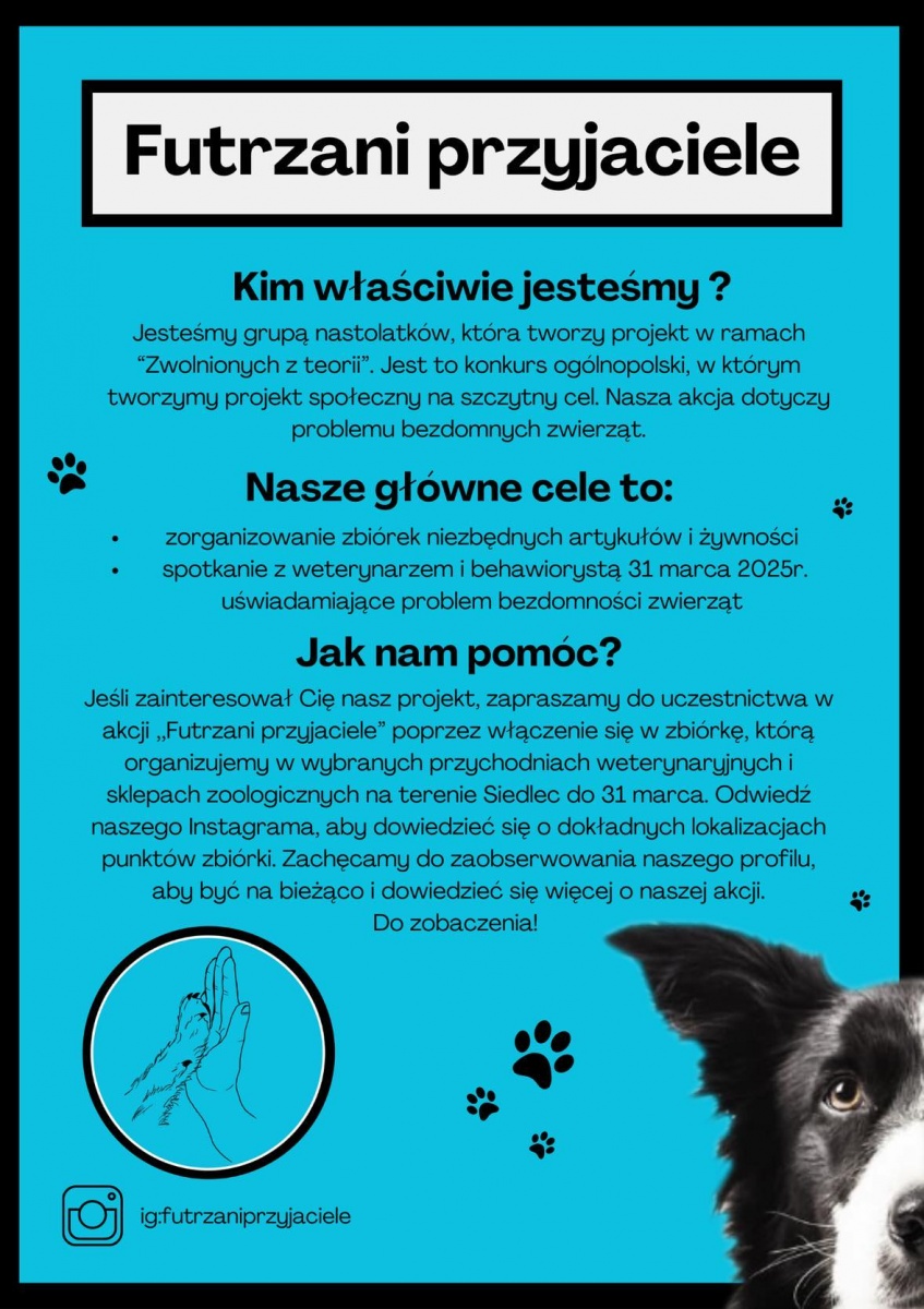 Projekt uczniów Katolickiego LO - Futrzani przyjaciele