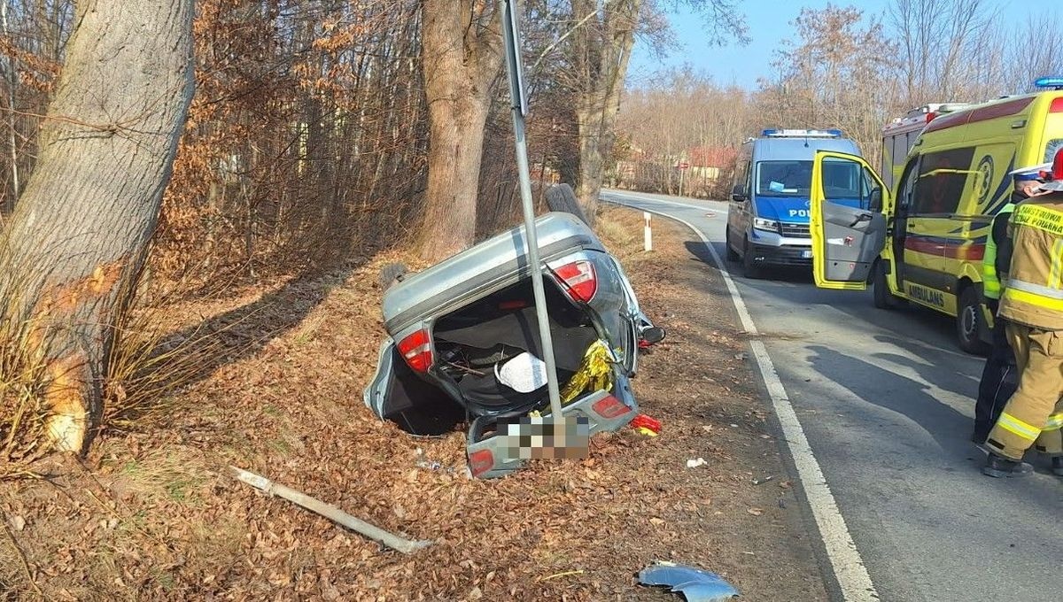 Uderzył w drzewo i dachował