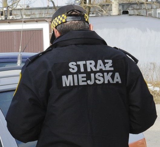 Mandaty za palenie „czym się da”