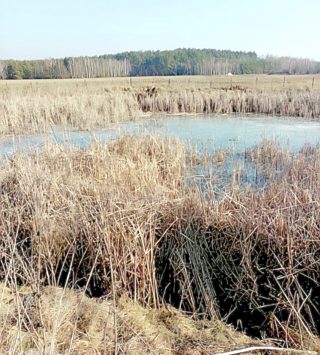 Mieszkańcy Ziomaków mogą mieć całkiem fajne lato…