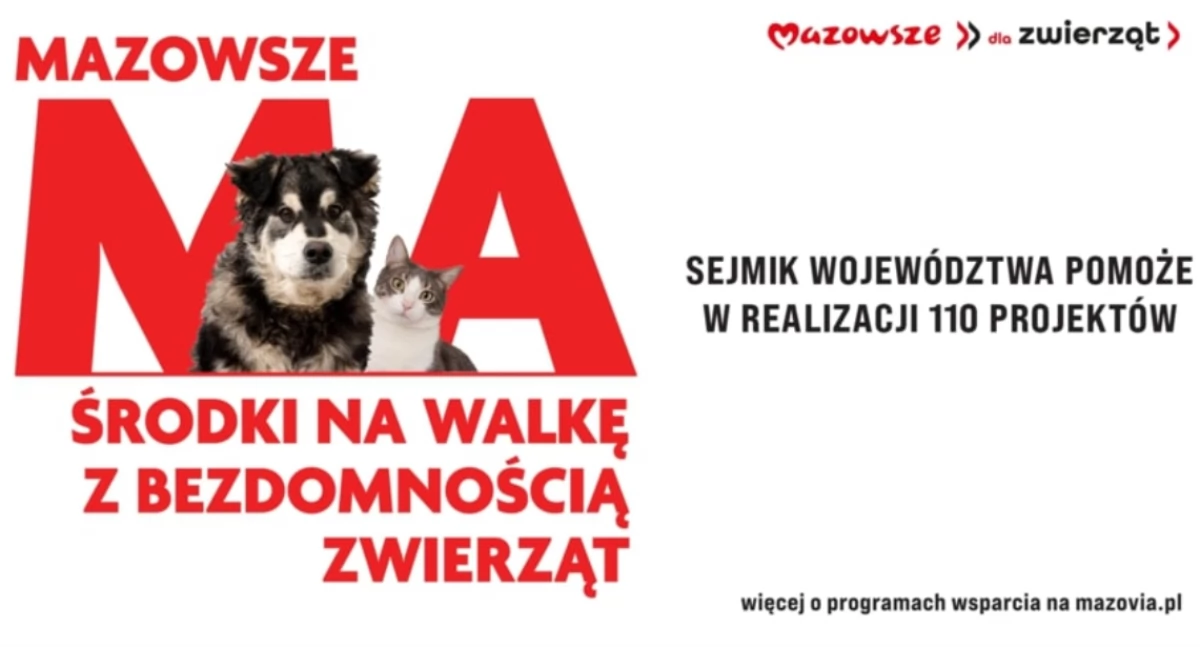 Gmina Ceranów otrzymała fundusze na steryzlizację zwierząt
