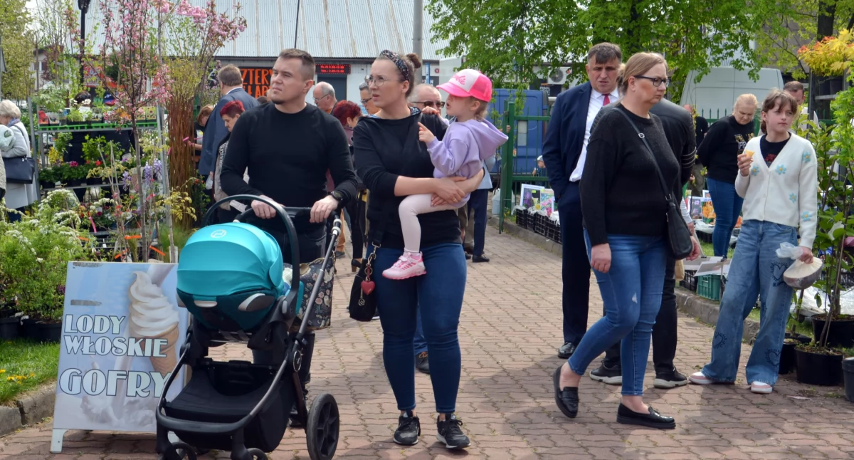 Oferta nie tylko dla działkowców -  „XVII Wiosna na polu i w ogrodzie”