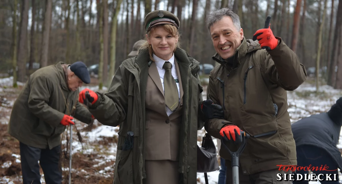 Sadzenie z charakterem. Las na 80-lecie Nadleśnictwa Siedlce rośnie od serca