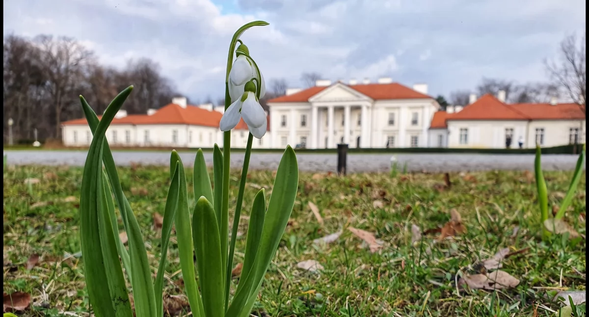 Siedlce inwestują w młodzież! Nowy projekt da głos młodemu pokoleniu i szkoli liderów przyszłości
