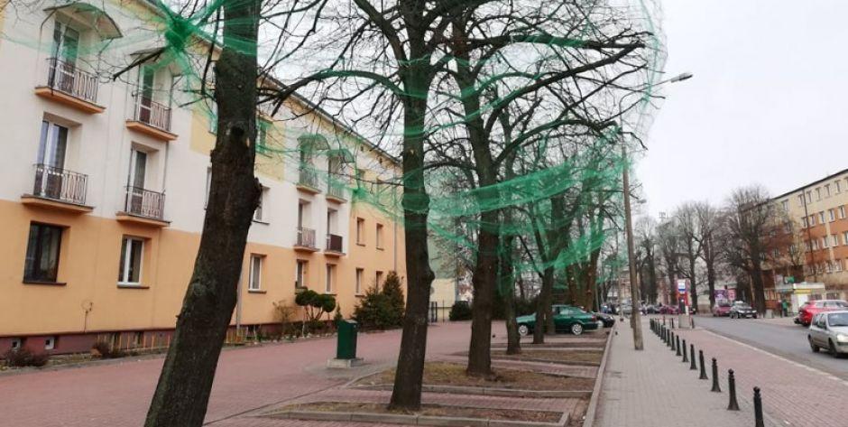 Mińscy strażacy ratują ptaki