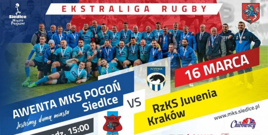 Wracają rugbiści