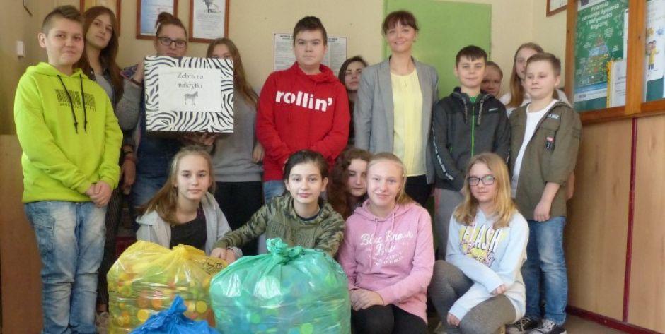 Zebra też zbiera nakrętki