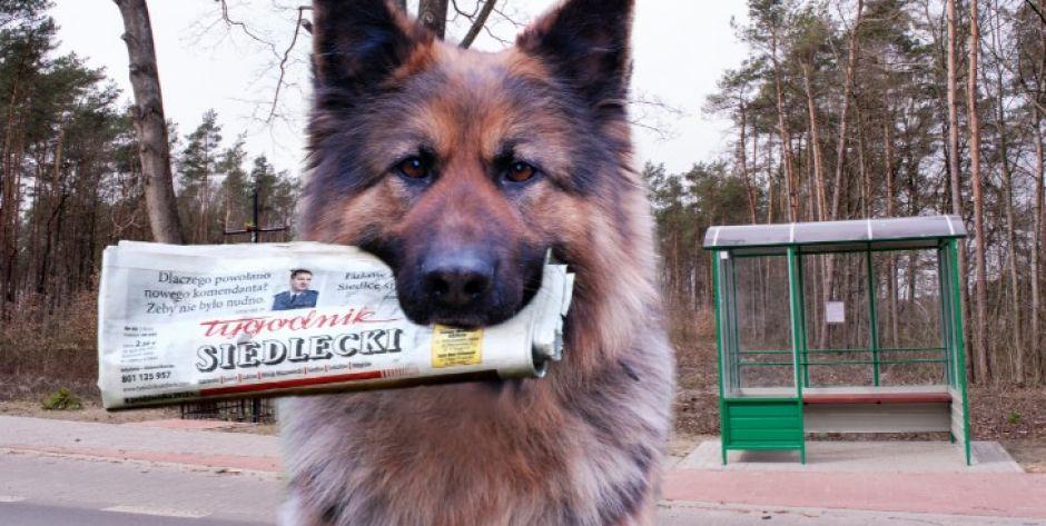O czym przeczytacie w najnowszym numerze 