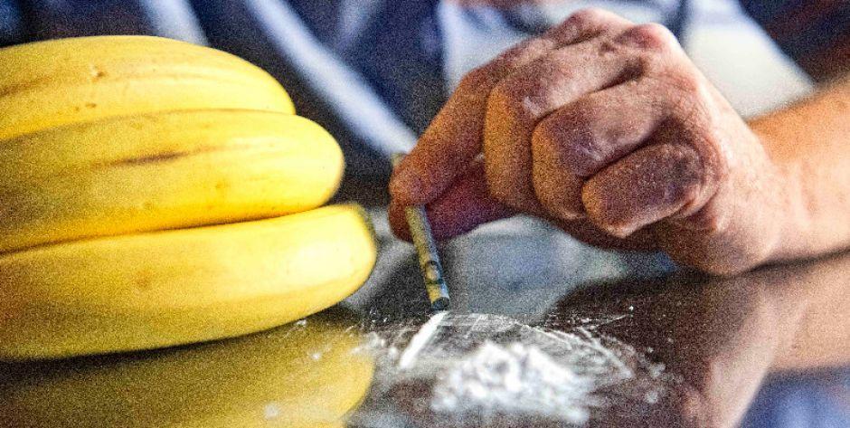 Kokaina w bananach