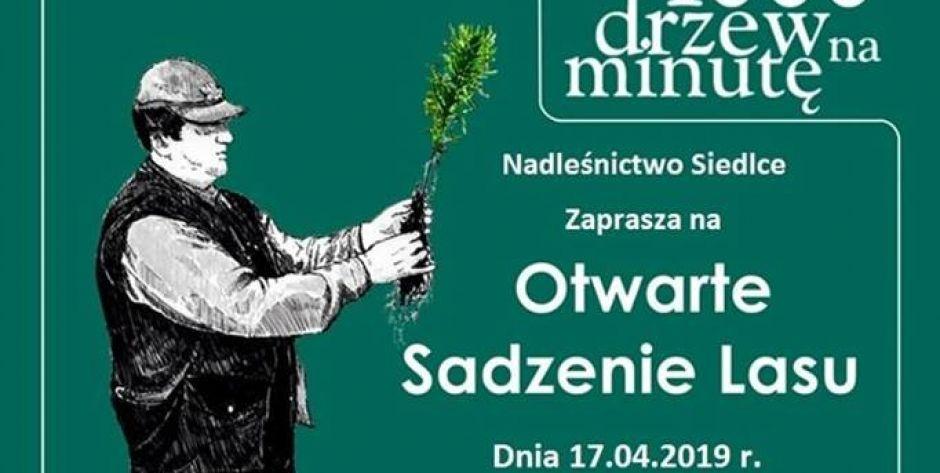 Posadź swoje drzewo! Zaprasza Nadleśnictwo Siedlce