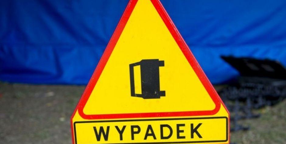 Łoś wbiegł pod samochód
