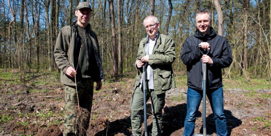Otwarte sadzenie lasu w Nadleśnictwie Siedlce. Na Sekule sadziliśmy dęby.