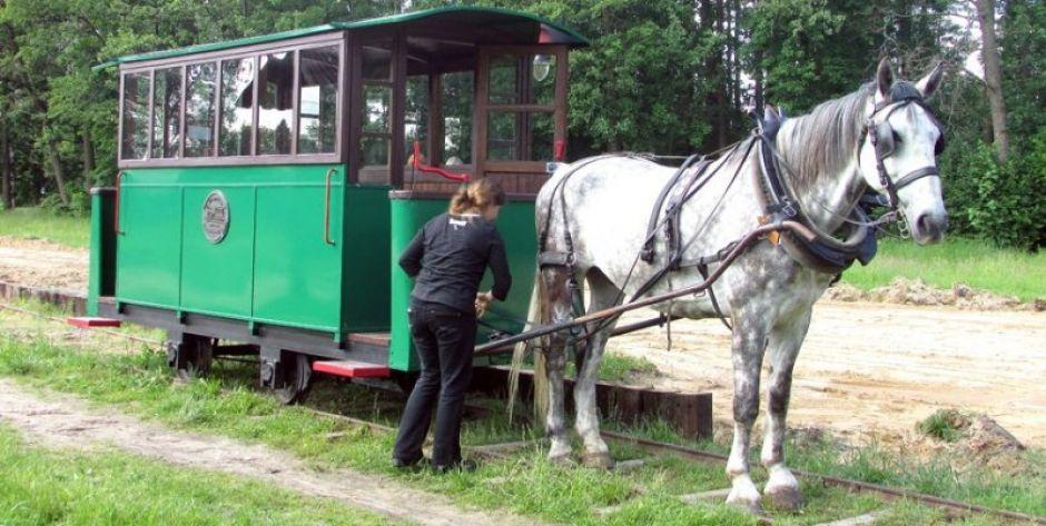 Wraca tramwaj konny w Mrozach
