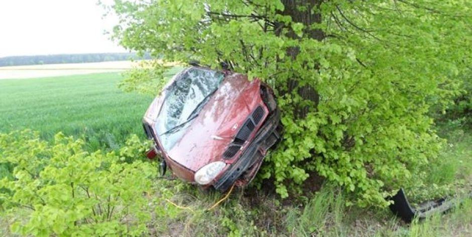 Daewoo uderzył w drzewo. Kierowcy zatrzymano prawo jazdy 