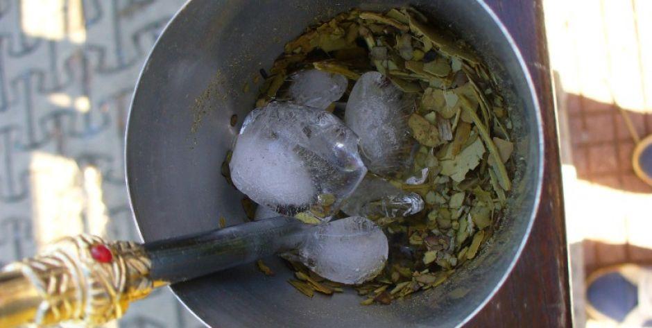 Yerba mate do nauki, pracy i dla zdrowia
