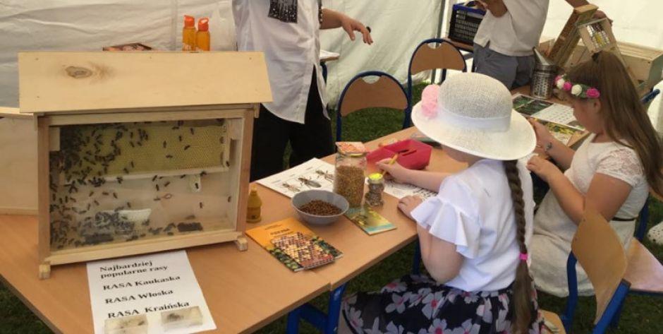 Trwa piknik w Pustelniku/Rodzice zapraszają