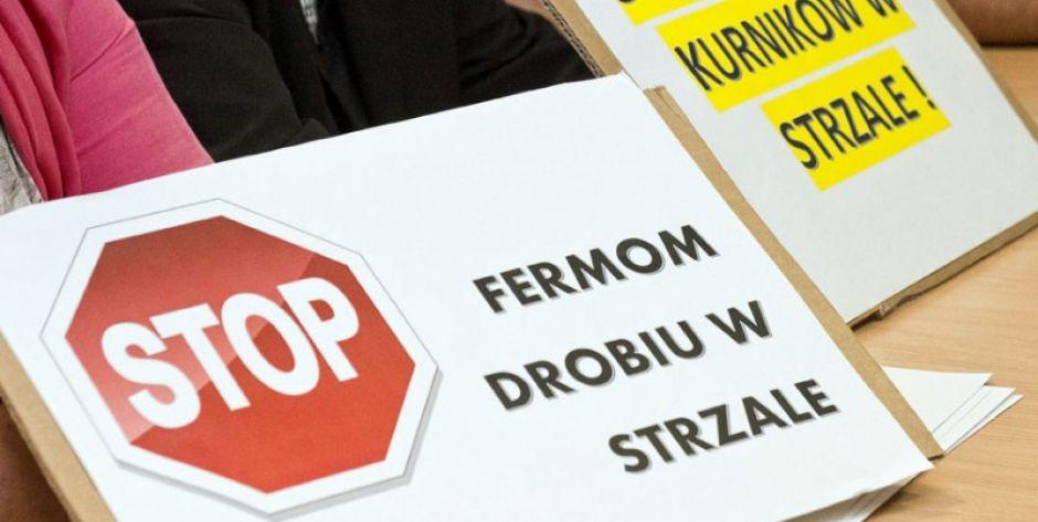 Stop fermom drobiu w Strzale – Walka trwa 