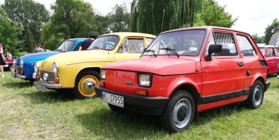 Na Mrowisku dzieje się dużo