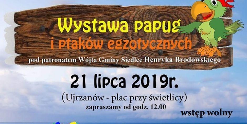 Czy papugi będą gadać? 