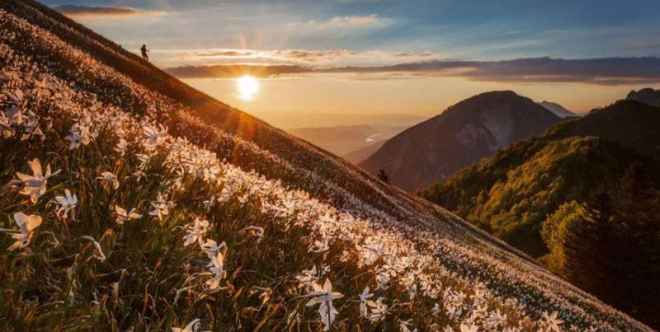 sLOVEnia (aktualizacja)