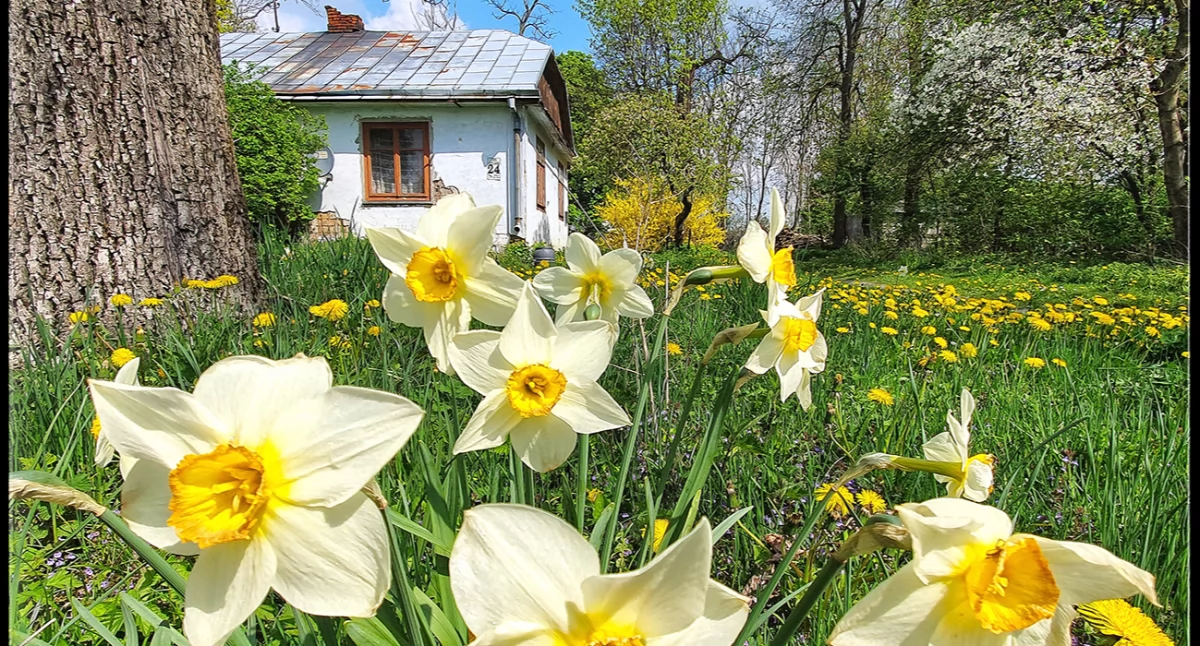 Mazowsze budzi się do życia - Weź udział w konkursie fotograficznym! Czekają nagrody!