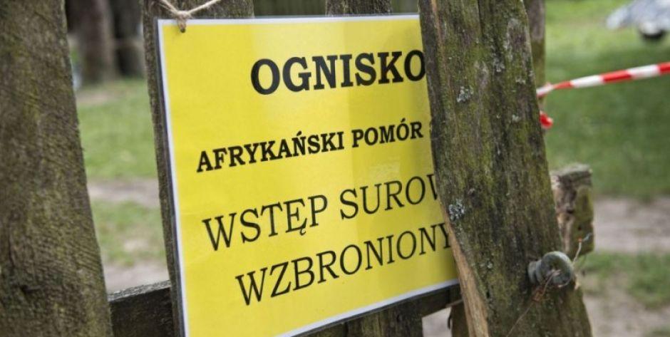 ASF w gminie Jabłonna Lacka