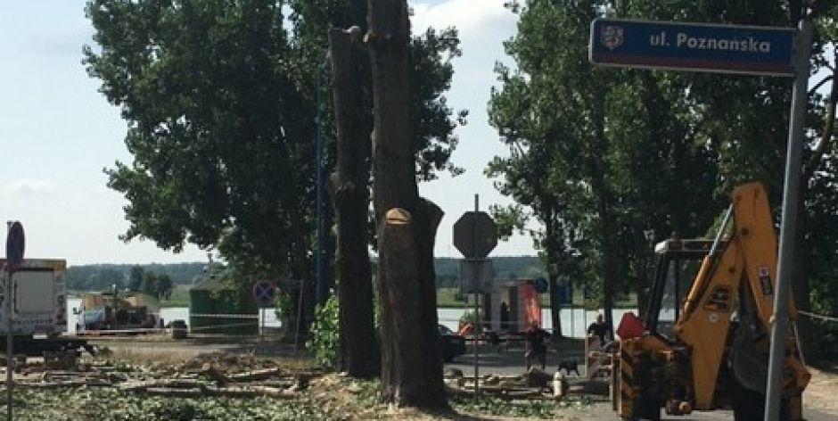 Wycinka drzew na zalewem