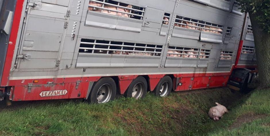 Droga w Mościbrodach będzie zablokowana kilka godzin!