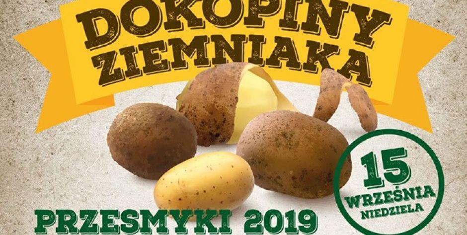 Dokopiny Ziemniaka w Przesmykach 