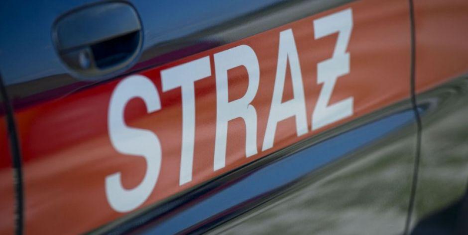 Pożar lasu w gminie Kosów Lacki