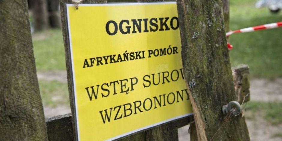 Grzybiarze mogą roznosić ASF! 