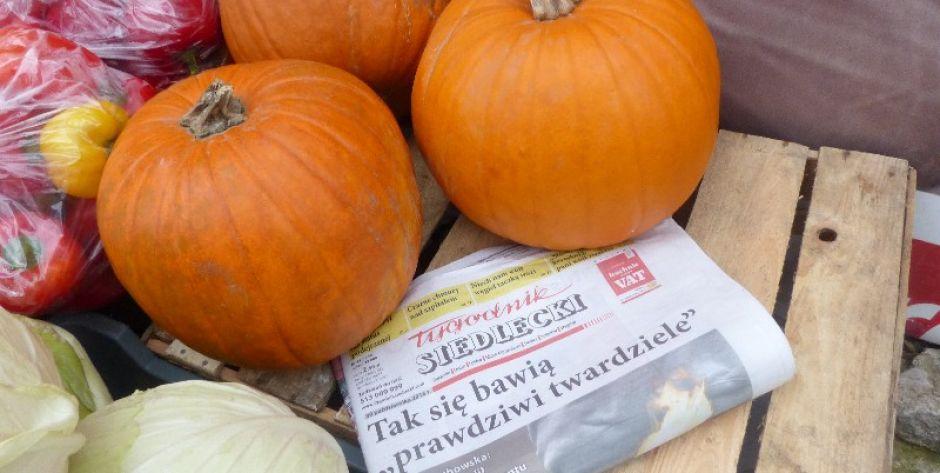 Zapowiedź najnowszego wydania 
