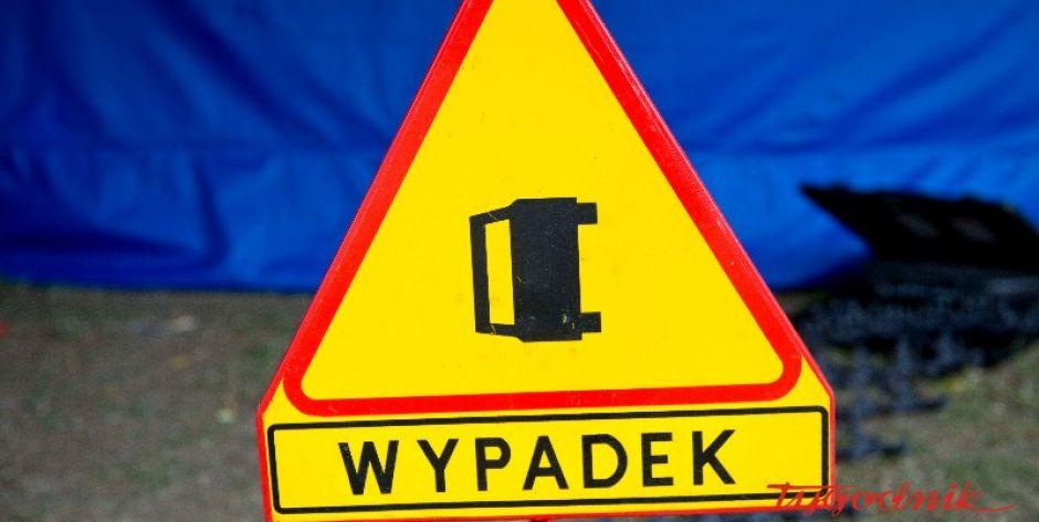 Łoś wbiegł pod samochód