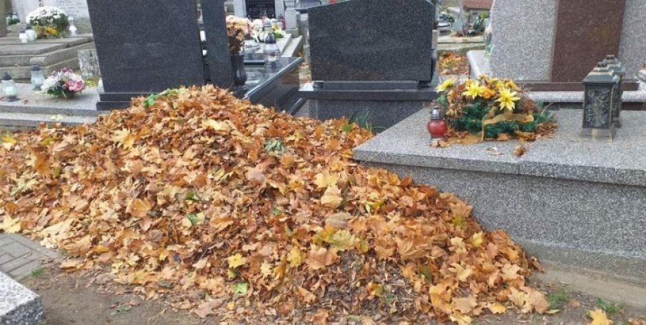 Najpierw liście grabią, potem wiatr je rozwiewa...