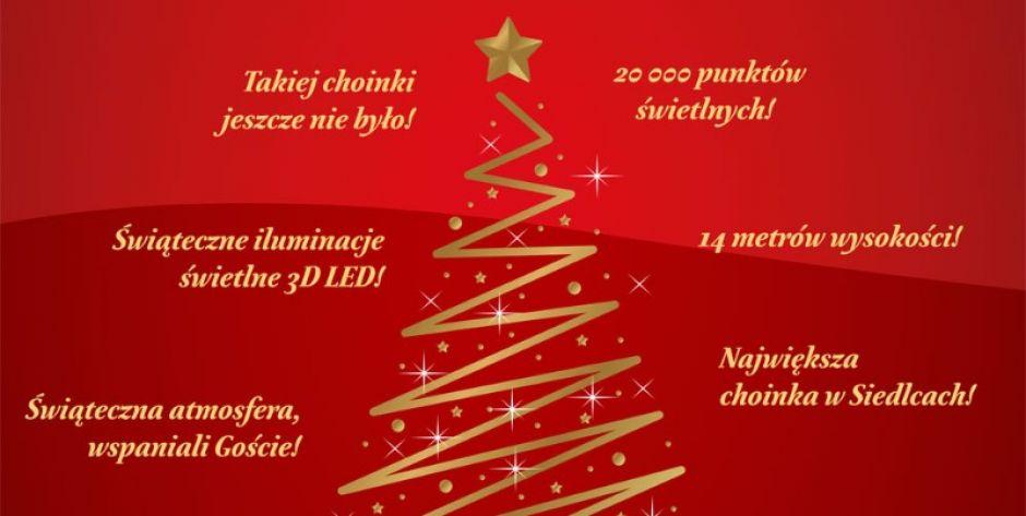 Siedlecka choinka będzie w tym roku ogromna i rozświetlona tysiącami lampek