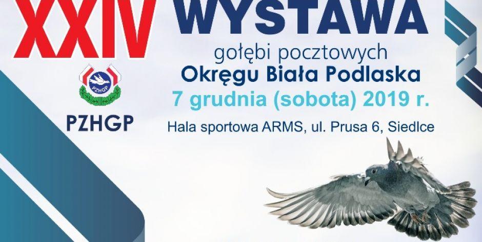XXIV Wystawa Gołębi Pocztowych
