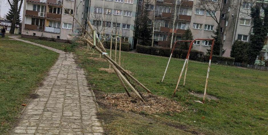 Kto wyładował agresję na drzewkach?