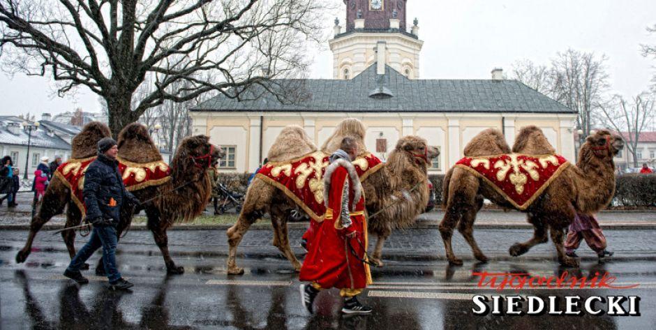 Orszak Trzech Króli w Siedlcach