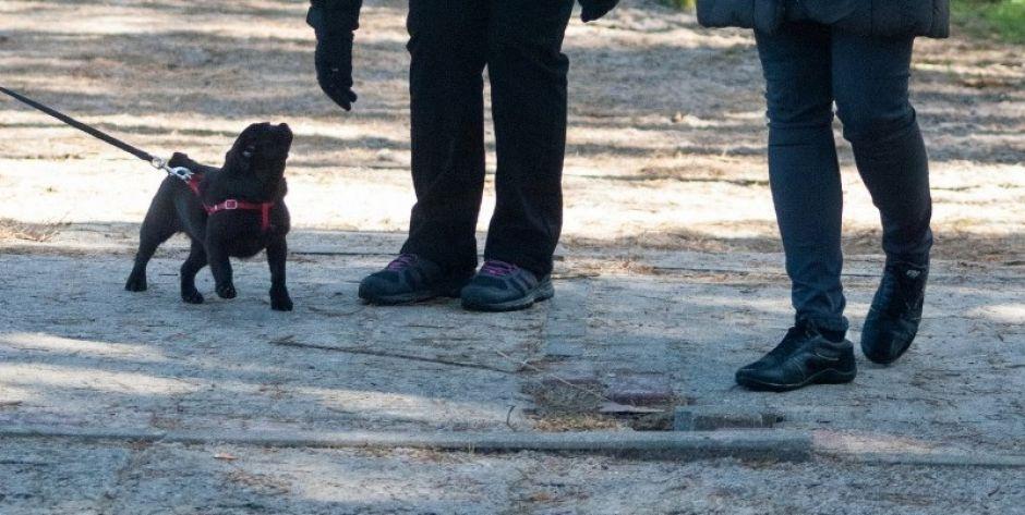W Kałuszynie apelują: Nie spuszczajcie psów ze smyczy, bo będą kary!