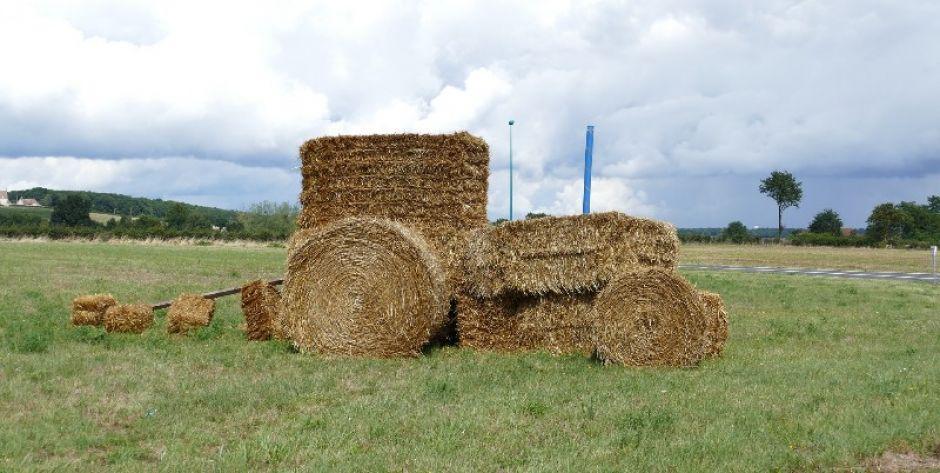 Wybiorą najcwańszego sołtysa