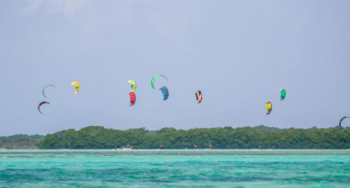 Jak czytać prognozy wiatru i fal przed sesją kitesurfingową?