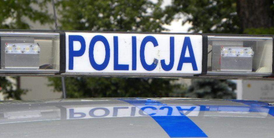 Złodzieje samochodów w rękach policji