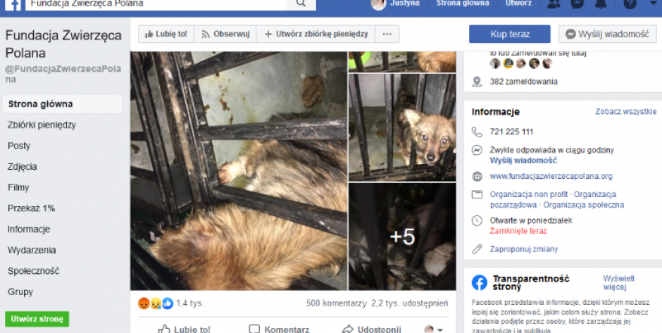 Jak się traktuje psy w Siedlcach? Fala hejtu na miasto. 