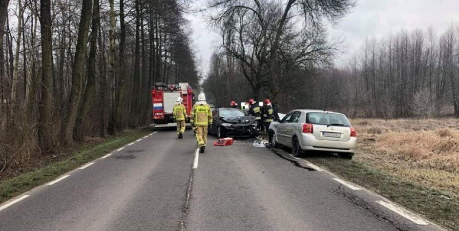 BMW uderzyło w łosia a potem w toyotę